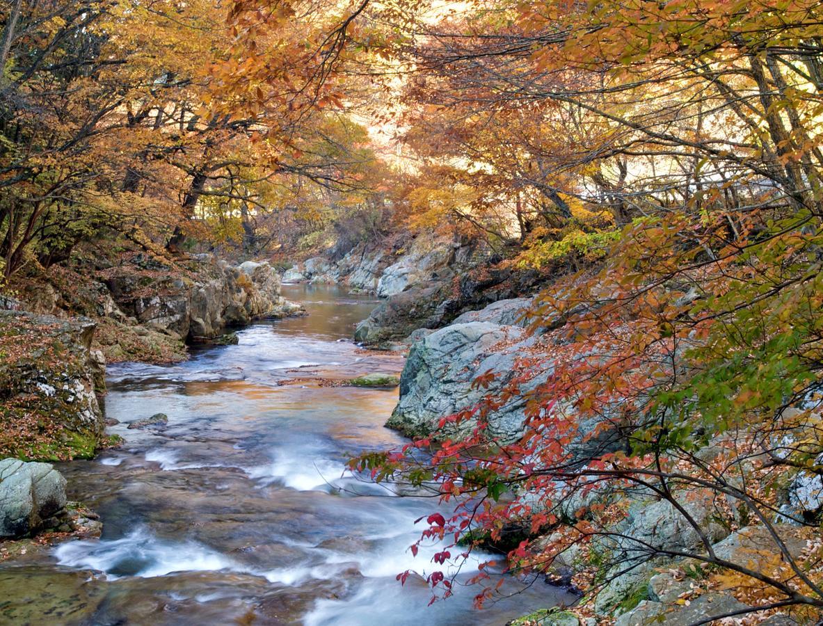 Hotel Kinugawa Onsen Sanraku à Nikkō Extérieur photo